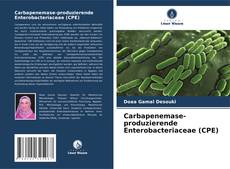 Carbapenemase-produzierende Enterobacteriaceae (CPE) kitap kapağı