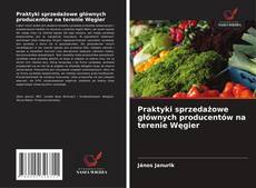 Bookcover of Praktyki sprzedażowe głównych producentów na terenie Węgier