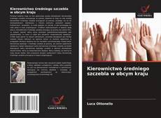 Copertina di Kierownictwo średniego szczebla w obcym kraju