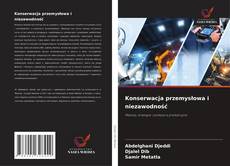 Konserwacja przemysłowa i niezawodność kitap kapağı