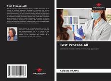 Borítókép a  Test Process All - hoz