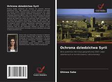 Copertina di Ochrona dziedzictwa Syrii