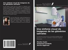 Couverture de Una sinfonía visual de imágenes de las glándulas salivales