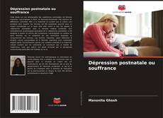 Buchcover von Dépression postnatale ou souffrance