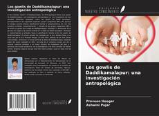 Copertina di Los gowlis de Daddikamalapur: una investigación antropológica