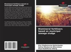 Borítókép a  Biomineral fertilizers based on municipal sewage sludge - hoz