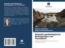 Portada del libro de Aktuelle geoökologische Bedingungen von Flusstälern
