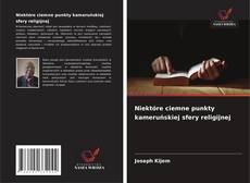 Niektóre ciemne punkty kameruńskiej sfery religijnej的封面