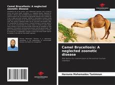 Borítókép a  Camel Brucellosis: A neglected zoonotic disease - hoz