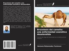 Bookcover of Brucelosis del camello: una enfermedad zoonótica desatendida