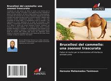 Borítókép a  Brucellosi del cammello: una zoonosi trascurata - hoz