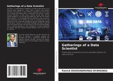 Borítókép a  Gatherings of a Data Scientist - hoz