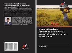 Copertina di L'emancipazione femminile attraverso i gruppi di auto-aiuto nel Tamil Nadu