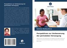 Portada del libro de Perspektiven zur Verbesserung der perinatalen Versorgung