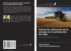 Patrón de utilización de la energía en la producción de trigo kitap kapağı