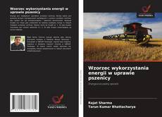 Bookcover of Wzorzec wykorzystania energii w uprawie pszenicy