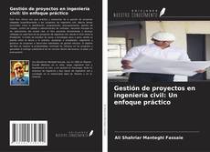 Borítókép a  Gestión de proyectos en ingeniería civil: Un enfoque práctico - hoz