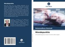 Bookcover of Wendepunkte