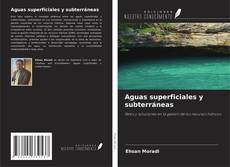 Borítókép a  Aguas superficiales y subterráneas - hoz