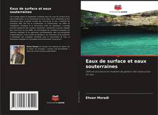 Capa do livro de Eaux de surface et eaux souterraines 
