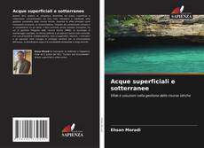 Borítókép a  Acque superficiali e sotterranee - hoz