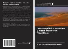 Borítókép a  Dominio público marítimo y medio marino en Mauritania - hoz