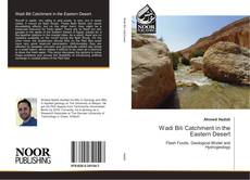 Bookcover of Wadi Bili Catchment in the Eastern Desert