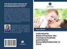 Copertina di Individuelle Determinanten der Inanspruchnahme postnataler Gesundheitsdienste in Gove