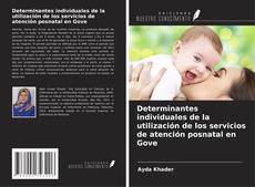 Copertina di Determinantes individuales de la utilización de los servicios de atención posnatal en Gove