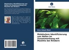 Copertina di Molekulare Identifizierung von Hefen im Zusammenhang mit Mastitis bei Rindern