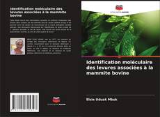 Buchcover von Identification moléculaire des levures associées à la mammite bovine