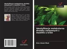 Copertina di Identyfikacja molekularna drożdży związanych z mastitis u krów