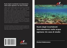 Borítókép a  Ruolo degli invertebrati macrobentonici nelle acque egiziane: Un caso di studio - hoz