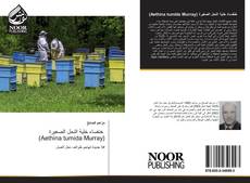 خنفساء خلية النحل الصغيرة (Aethina tumida Murray) kitap kapağı