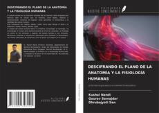 Copertina di DESCIFRANDO EL PLANO DE LA ANATOMÍA Y LA FISIOLOGÍA HUMANAS