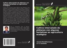Borítókép a  Cultivo intercalado de plátanos con algunas hortalizas en agricultura ecológica - hoz