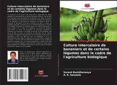 Borítókép a  Culture intercalaire de bananiers et de certains légumes dans le cadre de l'agriculture biologique - hoz