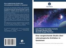 Eine vergleichende Studie über mikroskopische Entitäten in Gesteinen kitap kapağı