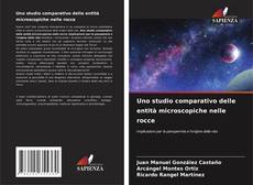 Uno studio comparativo delle entità microscopiche nelle rocce kitap kapağı