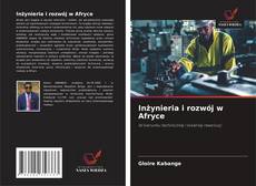 Inżynieria i rozwój w Afryce的封面