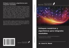 Copertina di Enfoques numéricos y algorítmicos para integrales resolubles