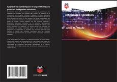 Bookcover of Approches numériques et algorithmiques pour les intégrales solubles