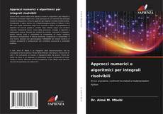 Approcci numerici e algoritmici per integrali risolvibili kitap kapağı