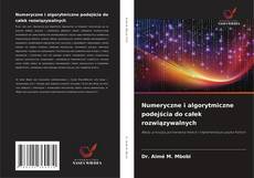 Copertina di Numeryczne i algorytmiczne podejścia do całek rozwiązywalnych
