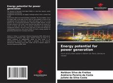 Copertina di Energy potential for power generation