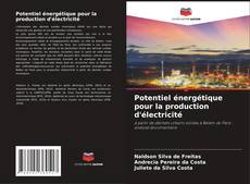 Buchcover von Potentiel énergétique pour la production d'électricité
