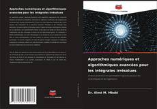 Bookcover of Approches numériques et algorithmiques avancées pour les intégrales irrésolues