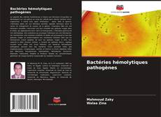 Buchcover von Bactéries hémolytiques pathogènes