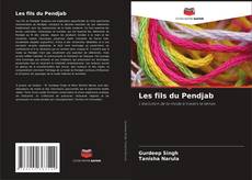 Bookcover of Les fils du Pendjab