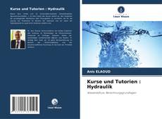 Borítókép a  Kurse und Tutorien : Hydraulik - hoz